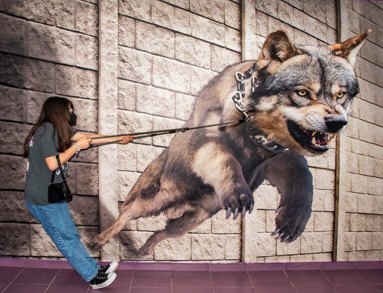wolf, woman, optical illusion, leash, 3d, museum, imagination, perspective, art, wolf, optical illusion, optical illusion, optical illusion, optical illusion, optical illusion